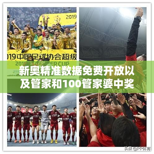 新奥精准数据免费开放以及管家和100管家婆中奖概率-战略释义、专家解析解释与落实,留心欺诈性营销