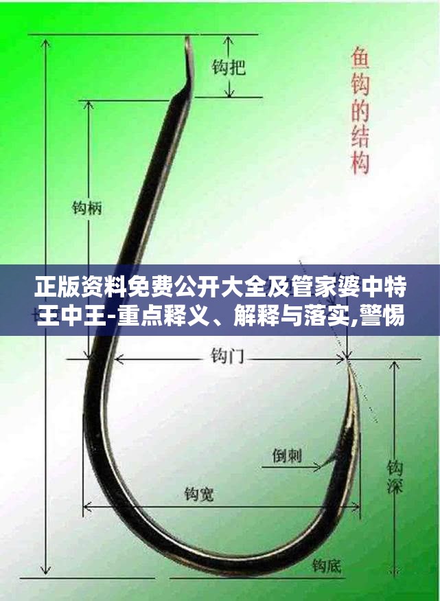 正版资料免费公开大全及管家婆中特王中王-重点释义、解释与落实,警惕不实的钓鱼钩