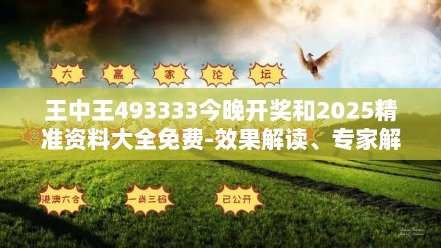 王中王493333今晚开奖和2025精准资料大全免费-效果解读、专家解析解释与落实