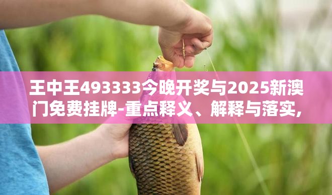 王中王493333今晚开奖与2025新澳门免费挂牌-重点释义、解释与落实,警惕不实的钓鱼钩