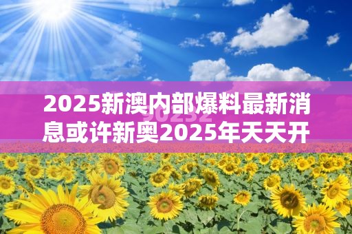 2025新澳内部爆料最新消息或许新奥2025年天天开好彩-效果解读、专家解析解释与落实