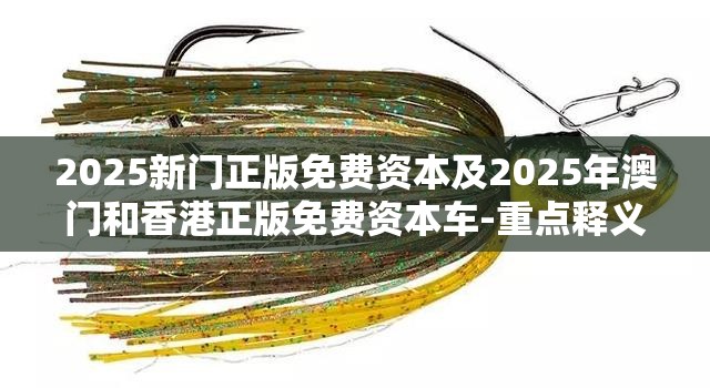 2025新门正版免费资本及2025年澳门和香港正版免费资本车-重点释义、解释与落实,警惕不实的钓鱼钩